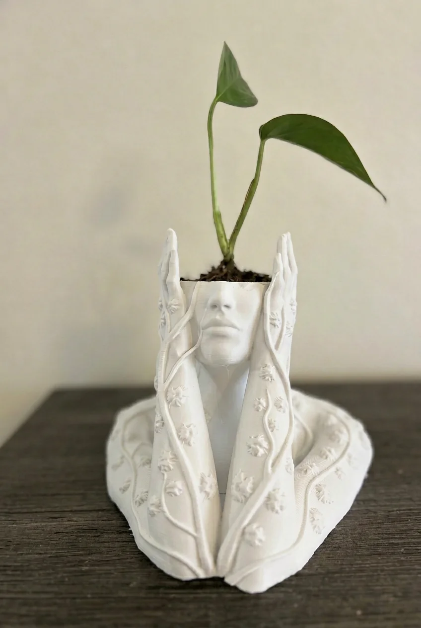 Sculptural Flora Art Saksı